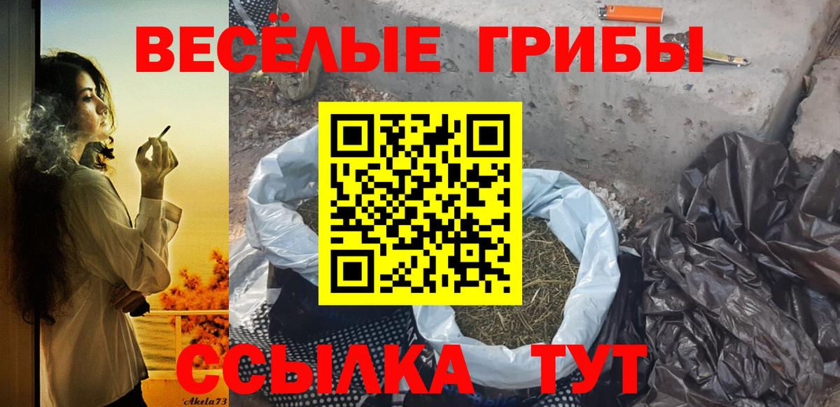 Назрань  Галлюциногенные грибы Cubensis  Вход с VPN  Галлюциногенные грибы Psilocybine cubensis 